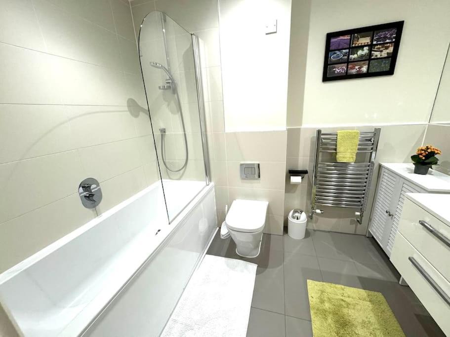 Beautiful 1 Bedroom Flat Near Wembley Stadium Brent